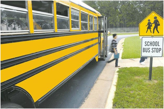 Schools Costa del Sol