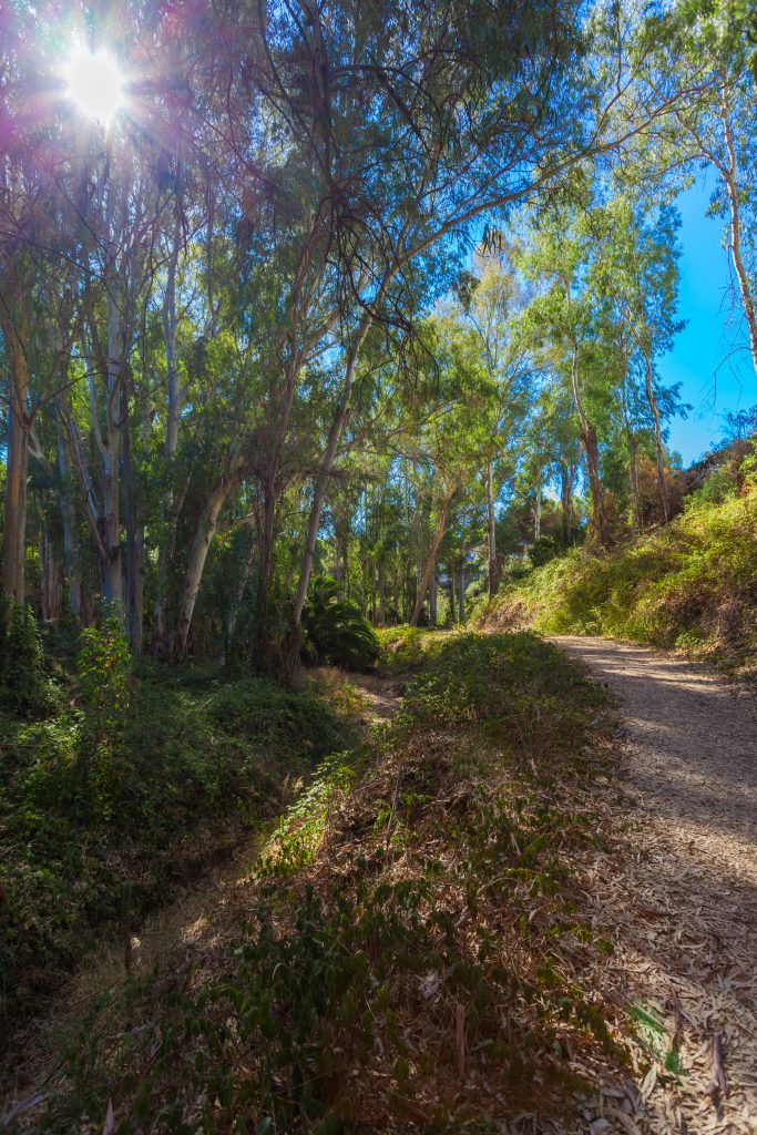 StartGroups favourite urbanisations and property developments