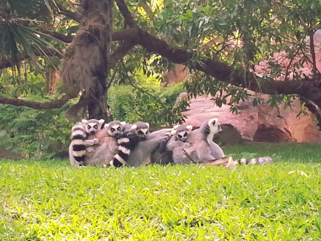 What to do on the Costa del Sol with kids