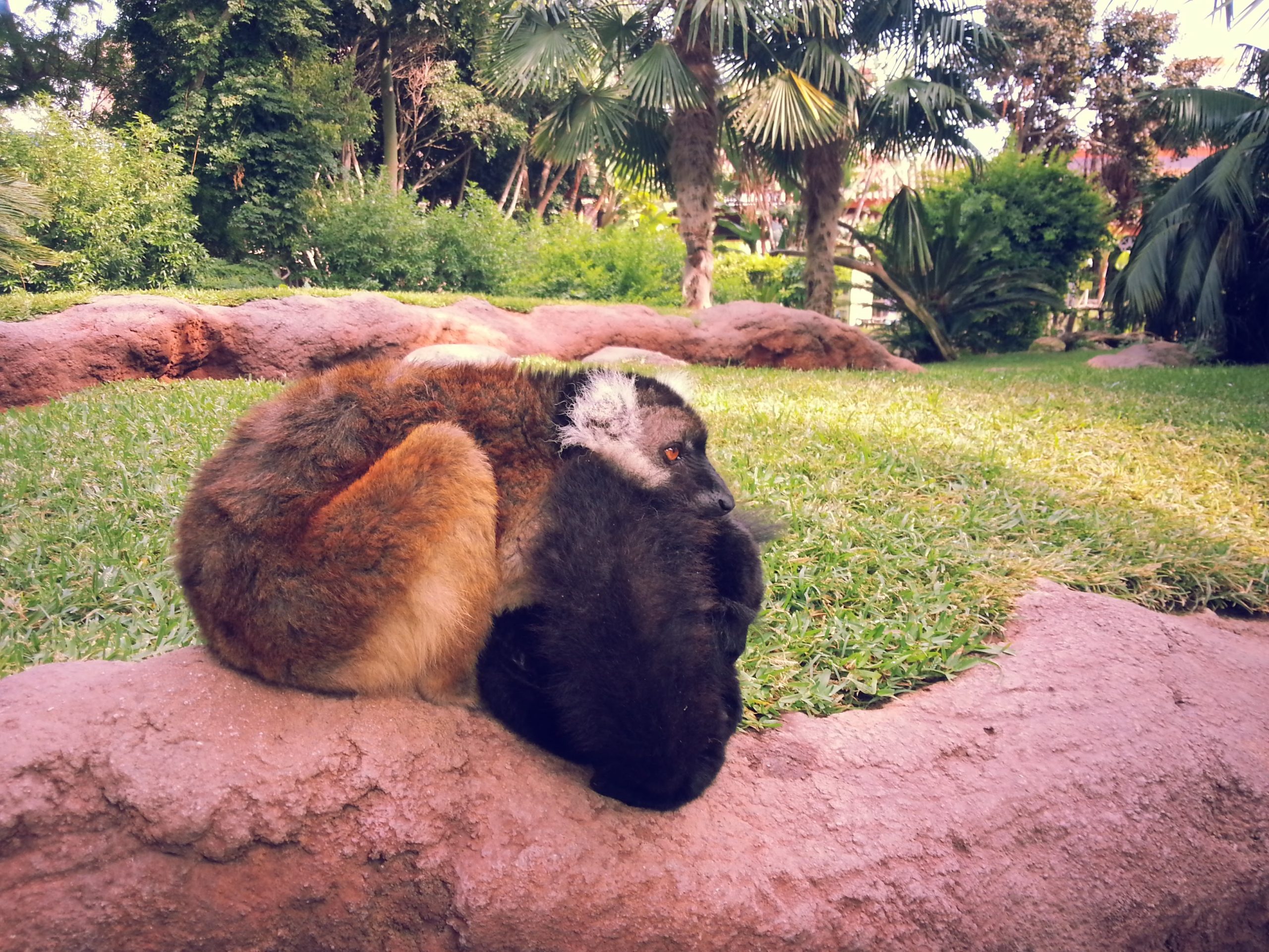 What to do on the Costa del Sol with kids