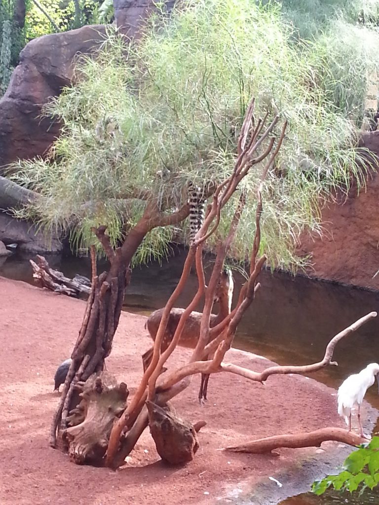 What to do on the Costa del Sol with kids