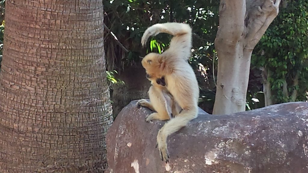 What to do on the Costa del Sol with kids