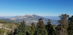 Andalusian Countryside