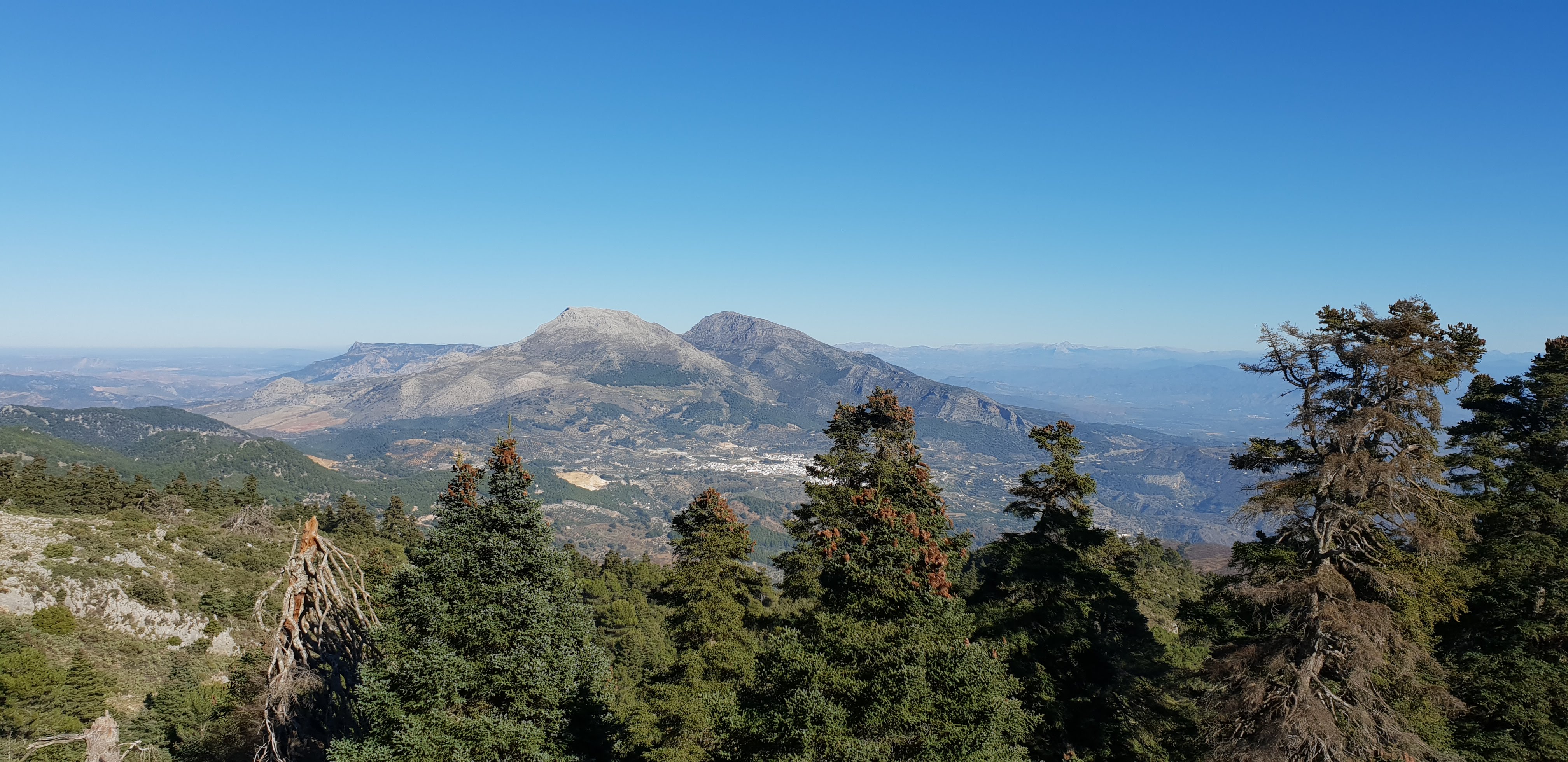 Andalusian Countryside