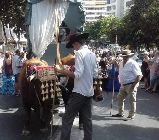Romeria The best cultural events on the Costa del Sol