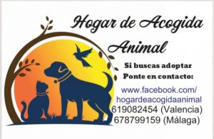 Home for abandoned animals