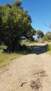 Discover Costa del Sol's countryside!